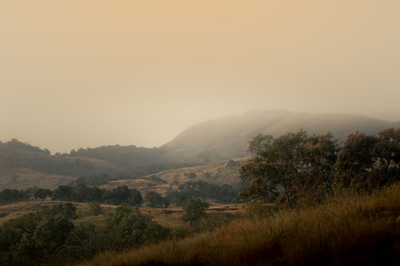 Misty hills in soft morning light, photographed by Renjith Tomy Pkm.